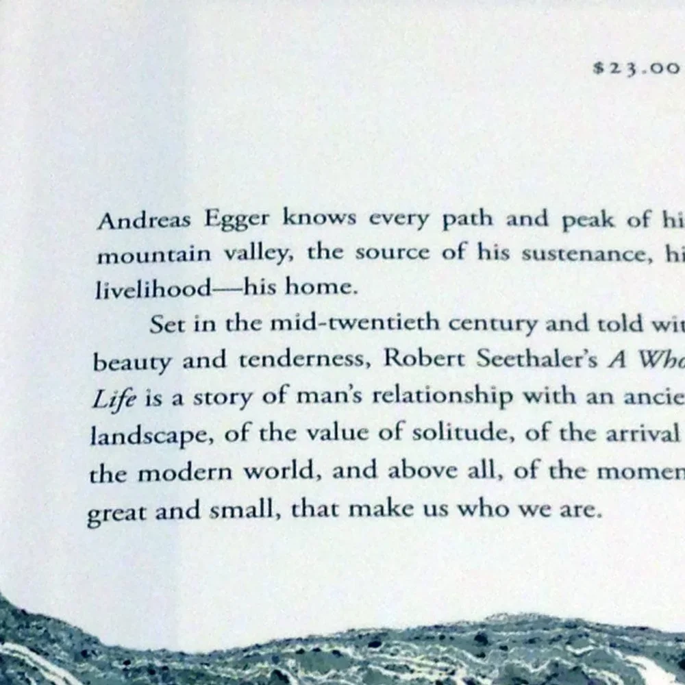 A Whole Life, Robert Sethaler